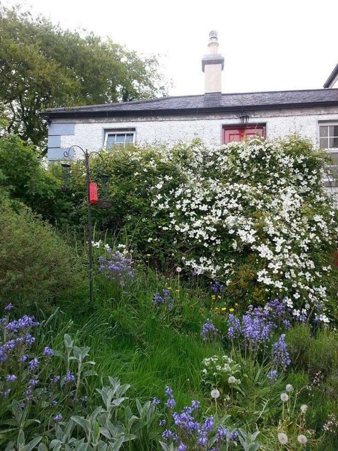 Gormanstown House Apt, The Island Tullamore Exterior photo